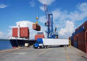 Trucks at the port