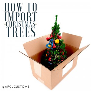 import christmas trees feature image