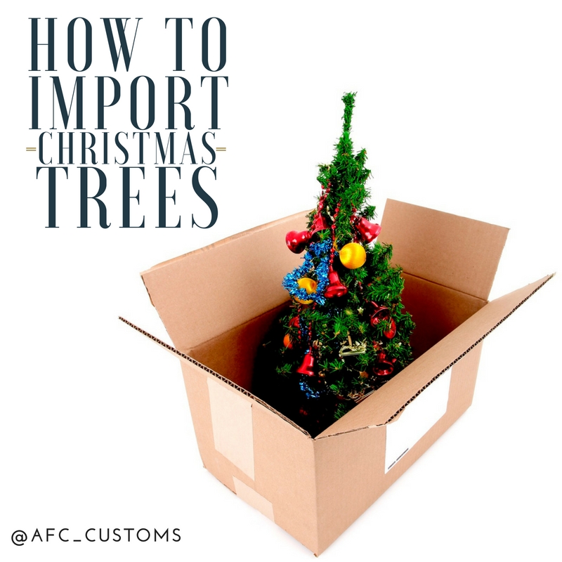 import christmas trees feature image