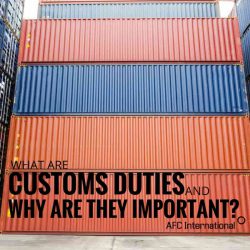what are customs duties