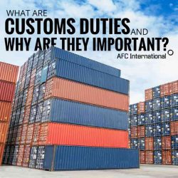 what are customs duties